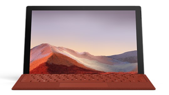 炎陵清洁和维护 Surface